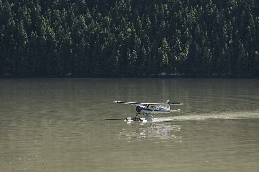 _DSC8529.jpg