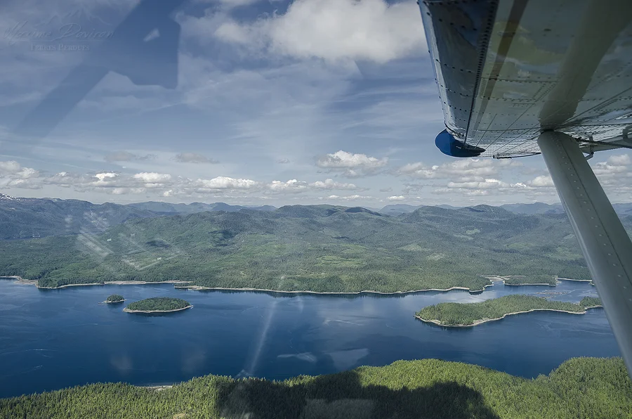 _DSC8582.jpg
