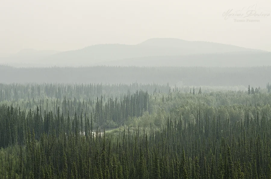 _DSC9108.jpg