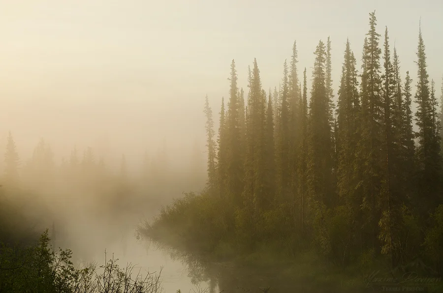 _DSC9246.jpg