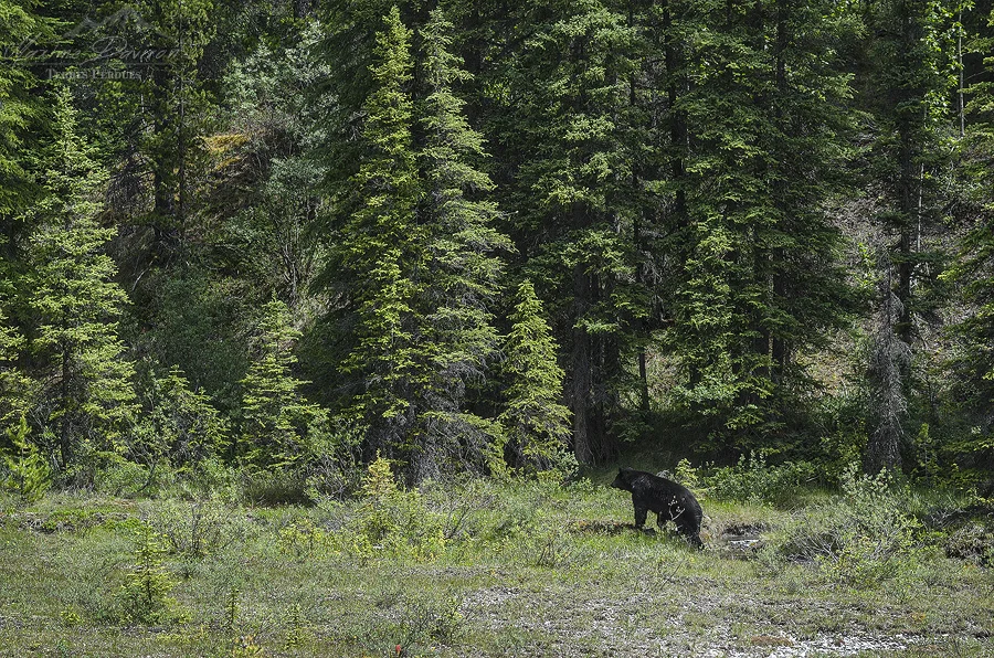 _DSC7730.jpg
