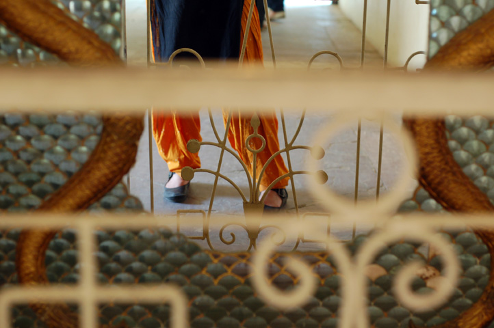msz_india_orange_008.jpg