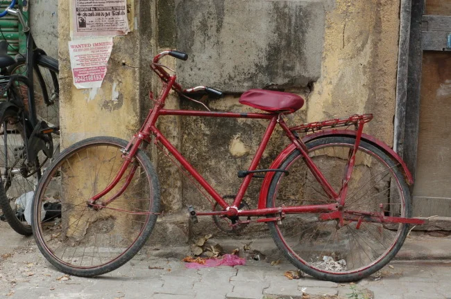 msz_india_0440.jpg