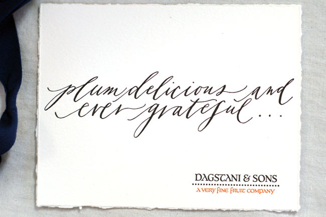 Dagstani & Sons enclosure card