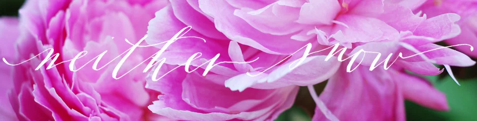header_summer_11.jpg