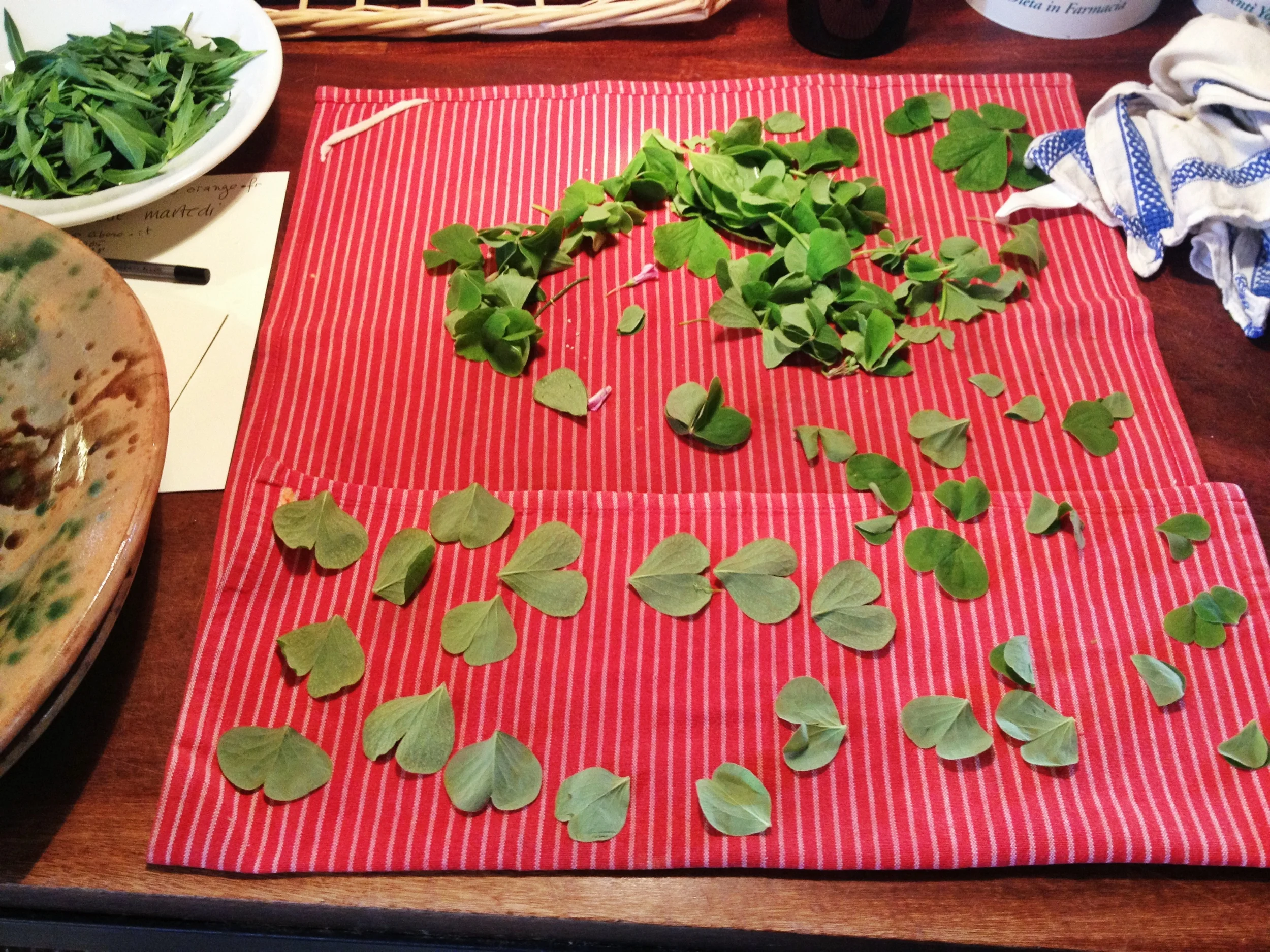 san_martino_herbs.jpg