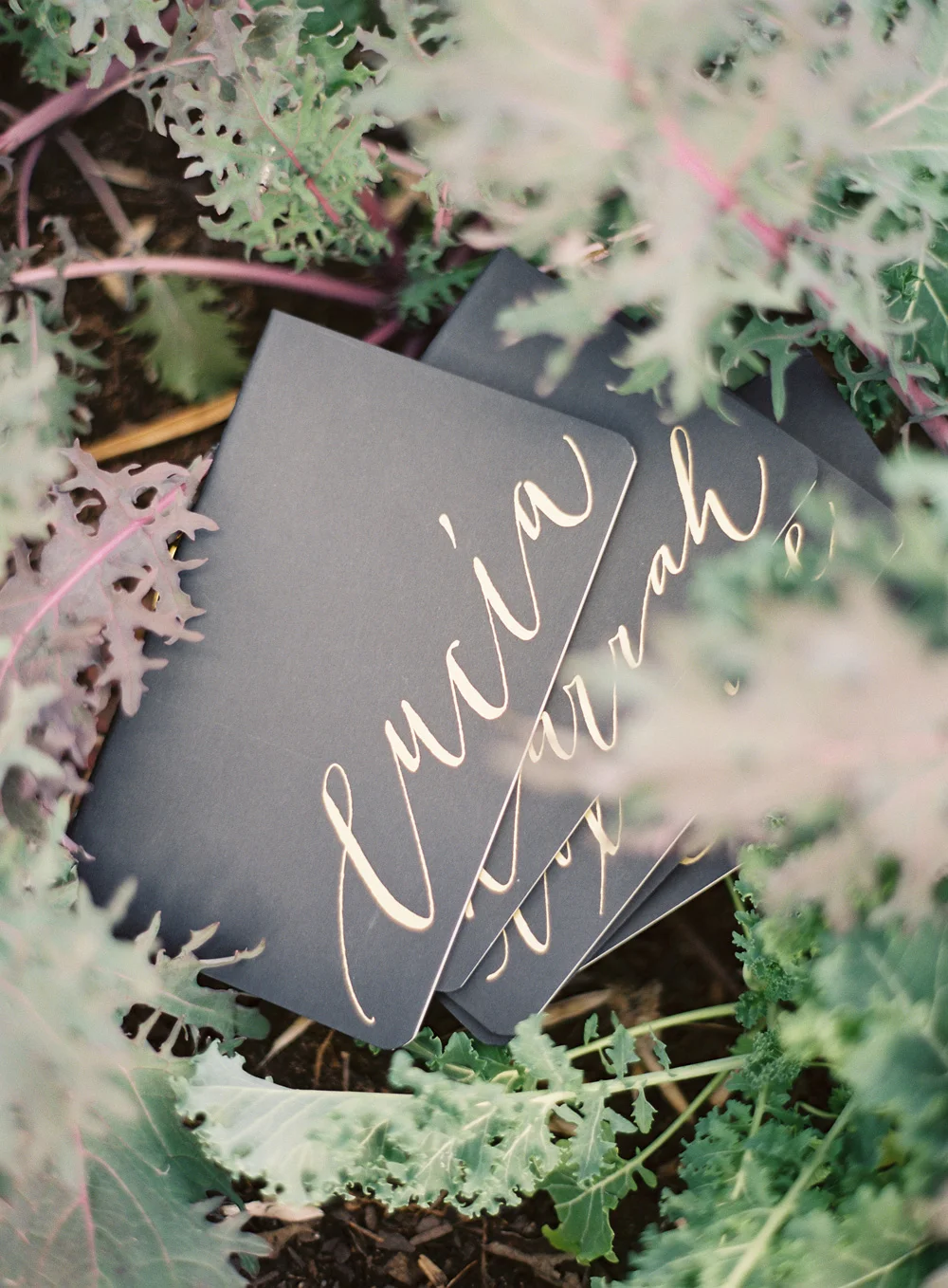 thigpen_notebooks_black_1.jpg
