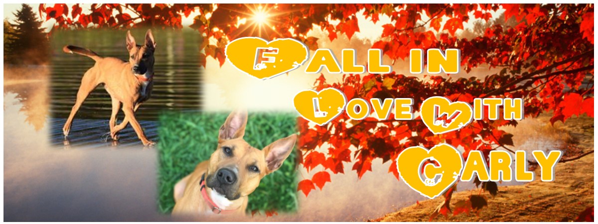 carly fall.jpg
