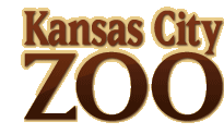 dueling-pianos-zoo-logo.gif