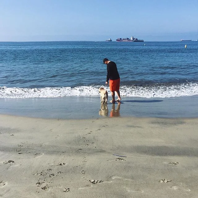 ☀️🌊🐺