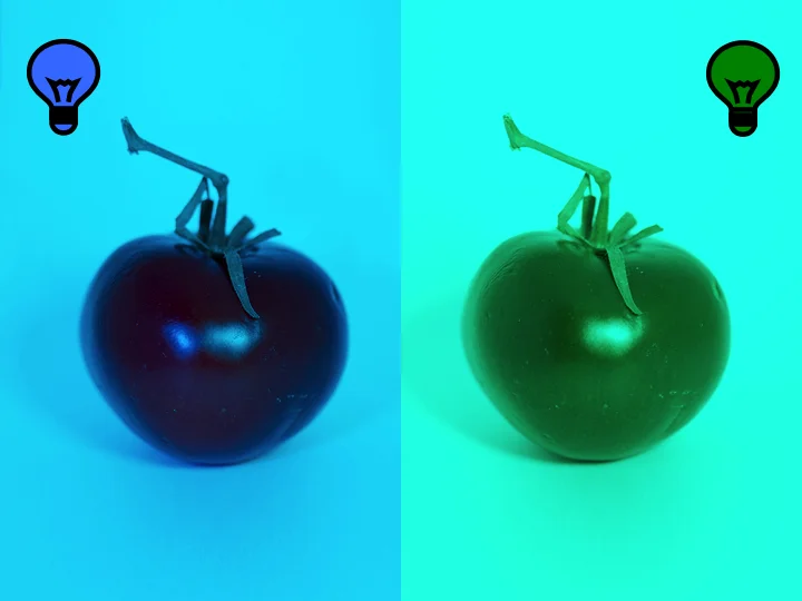 Is the tomato still red when illuminated under blue light or green light? It sure doesn't look red anymore.