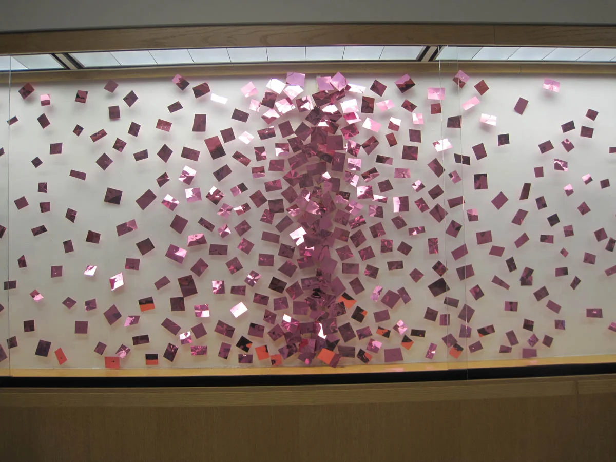 Flurry
Middlesex Community College, Niche Gallery, 2010 
Reflective paper, T pins
4’ h x 15’ l x 3” d