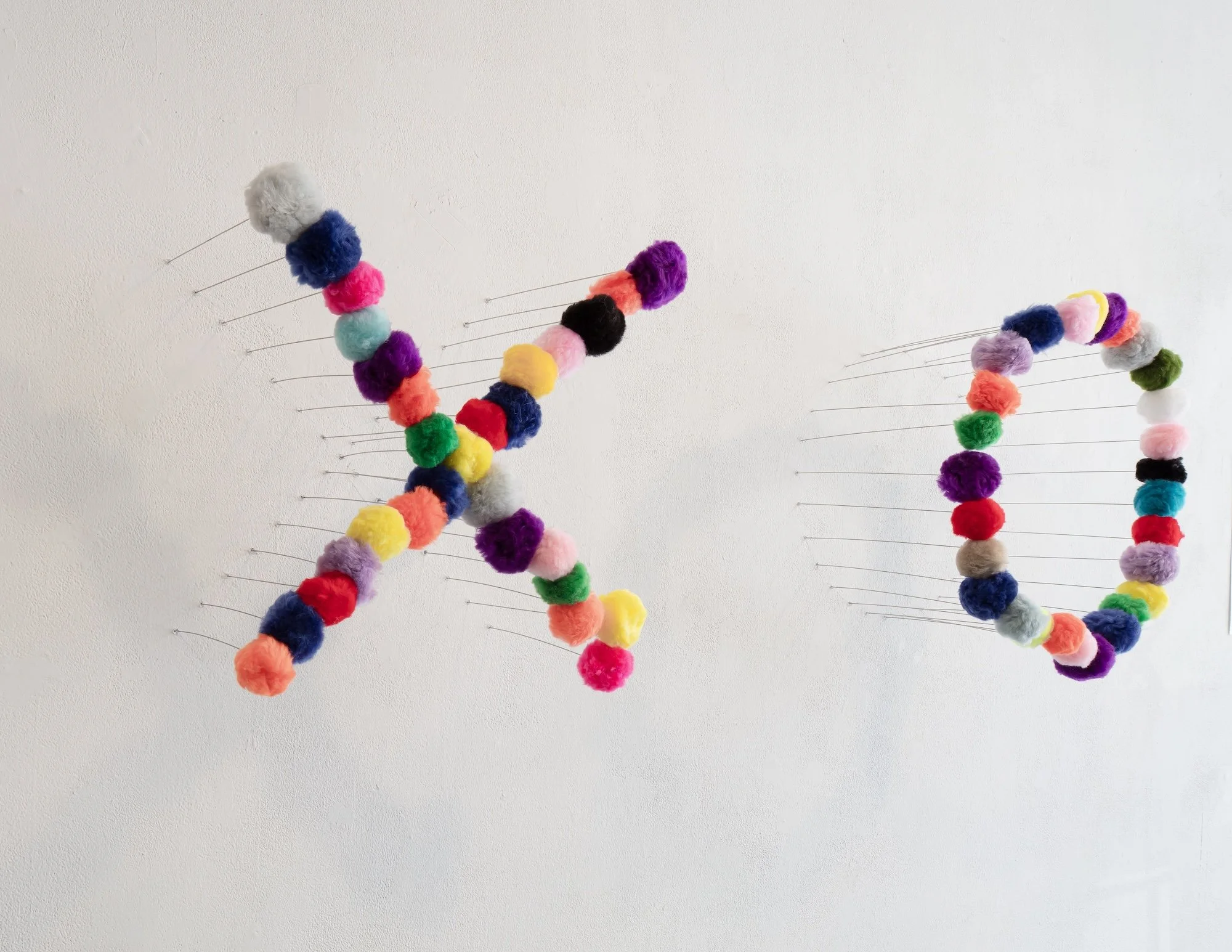 Shutan poms 2 copy.jpeg