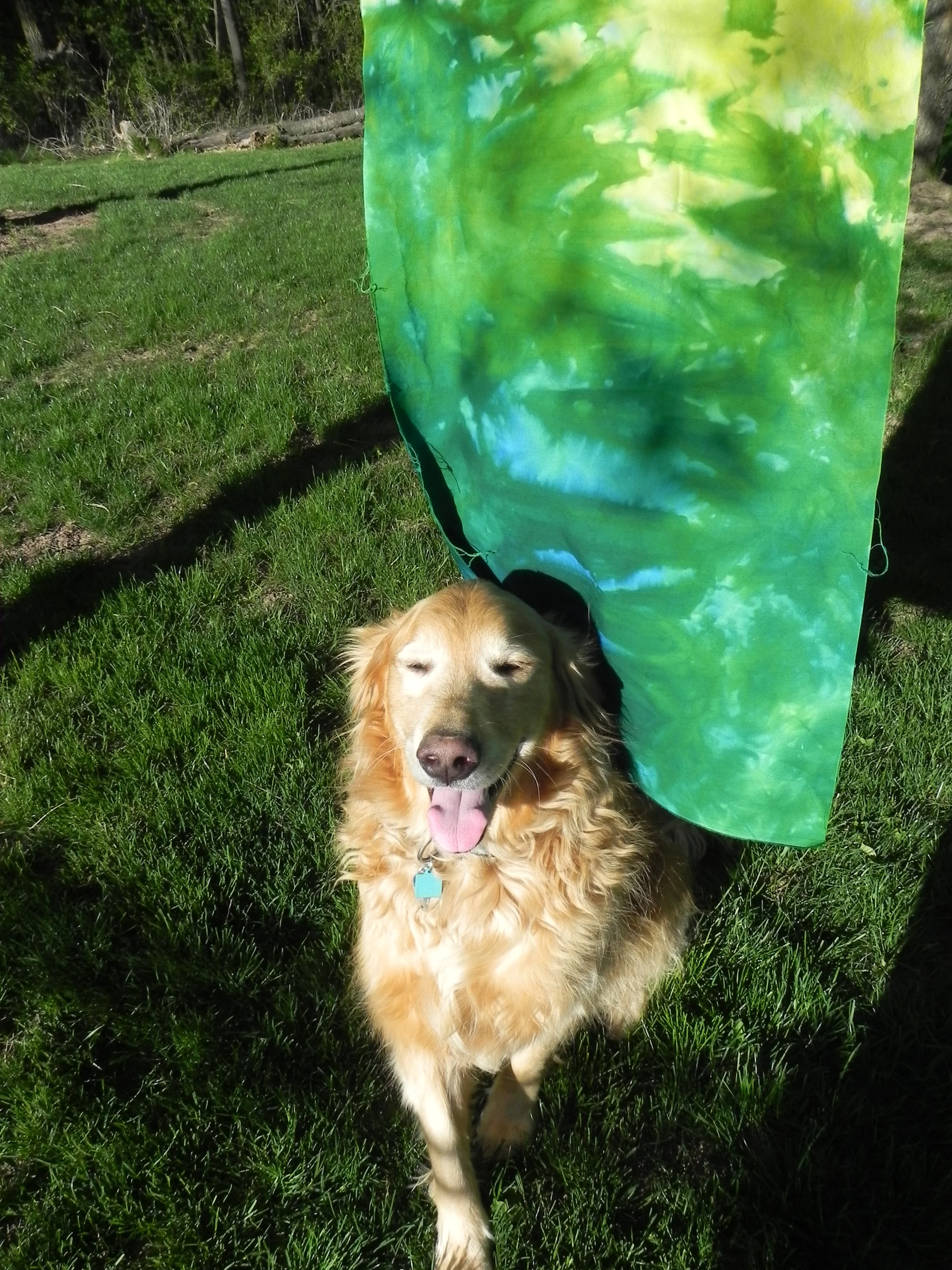 And, of course, the Doofus.