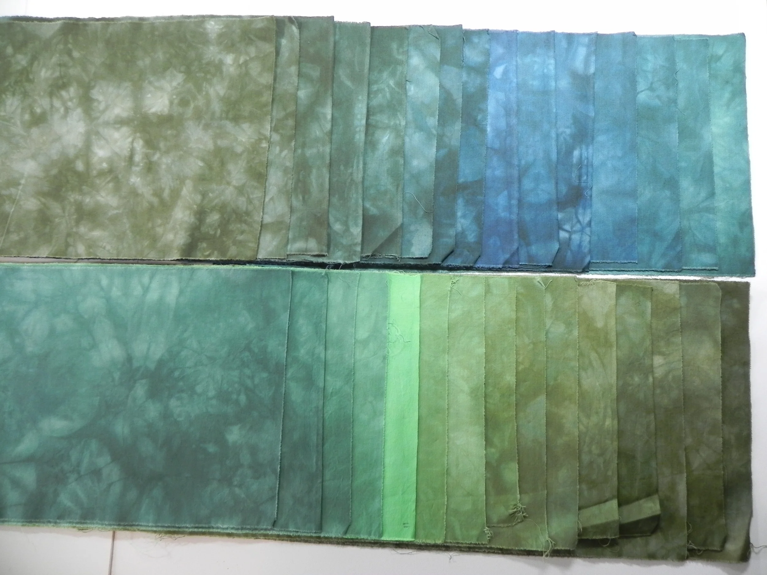 rainforestgradationjune2013.jpg