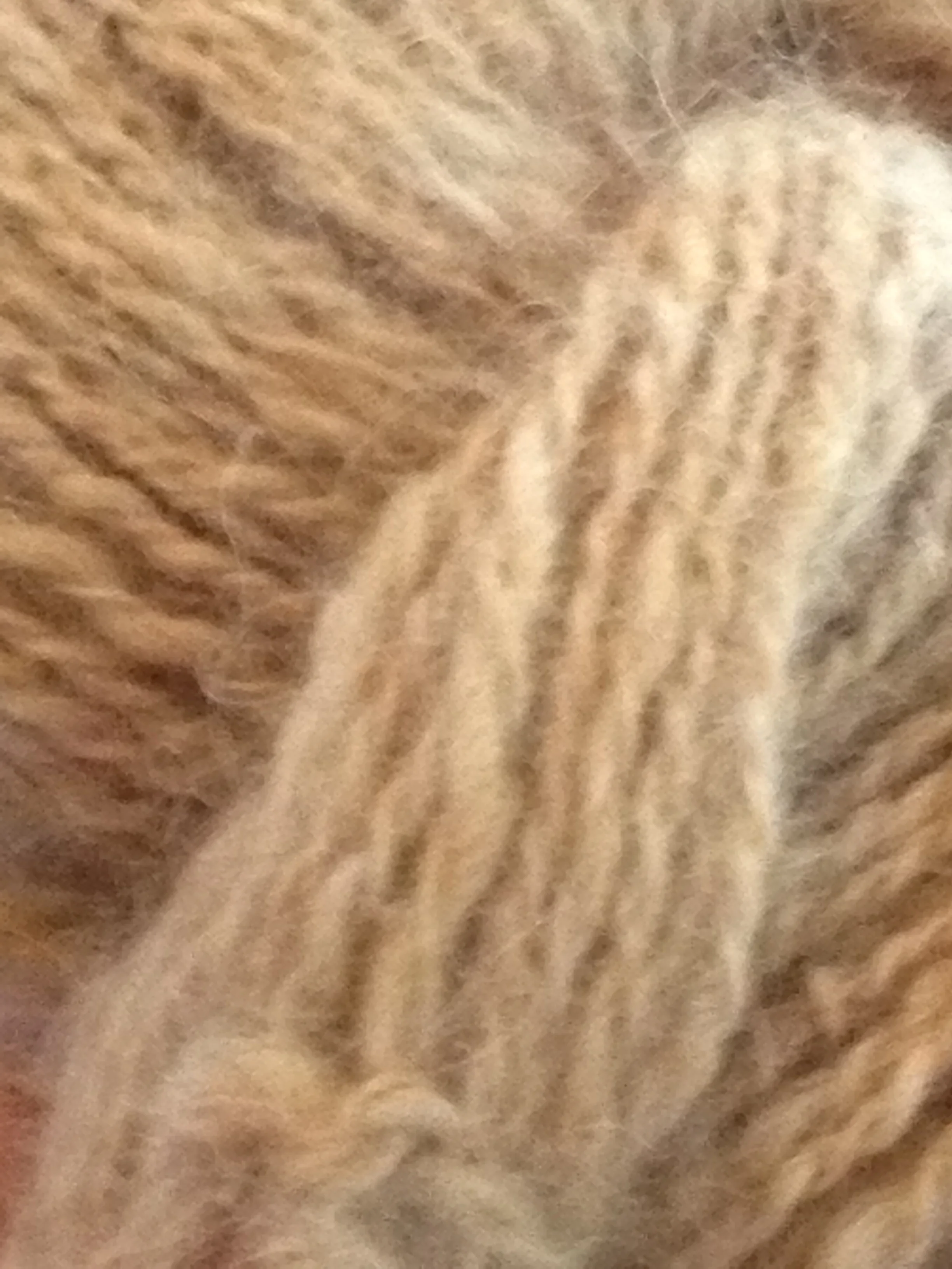 Ahem. Shed much? Yarn made from Golden Retriever fur. I would happily mail her some extra that I just happen to have laying around my house!