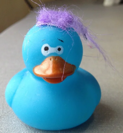 duckie.jpg