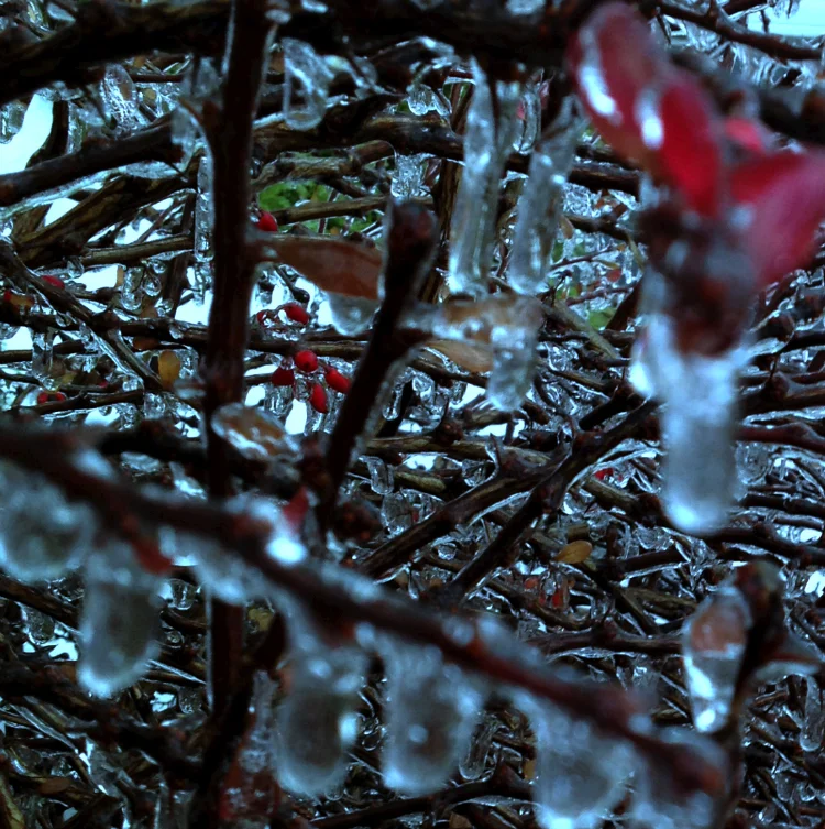 icestorm122213ed3.jpg