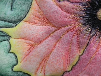 Dimension in the petals