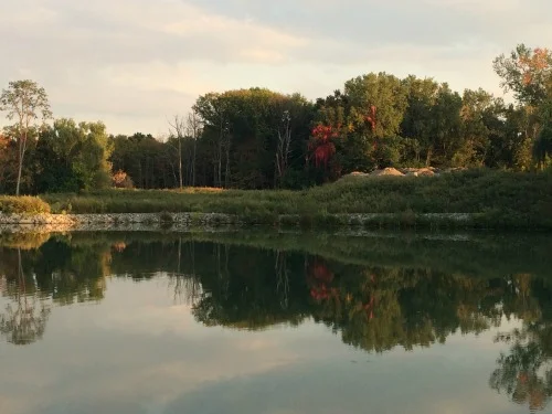 The one day I did get out for a walk on the canal, it was beautiful.