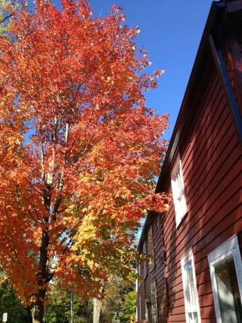 Niagara on the Lake 2013