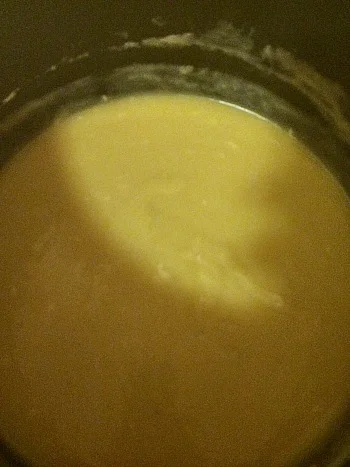 Pureed Leek and Potato Soup--not a great picture as I took it on the fly as I was prepping for a party and it steamed up my cell phone camera lens.