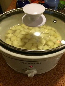 Slow-cooker apple cinnamon oatmeal getting ready for me to enjoy in the morning!