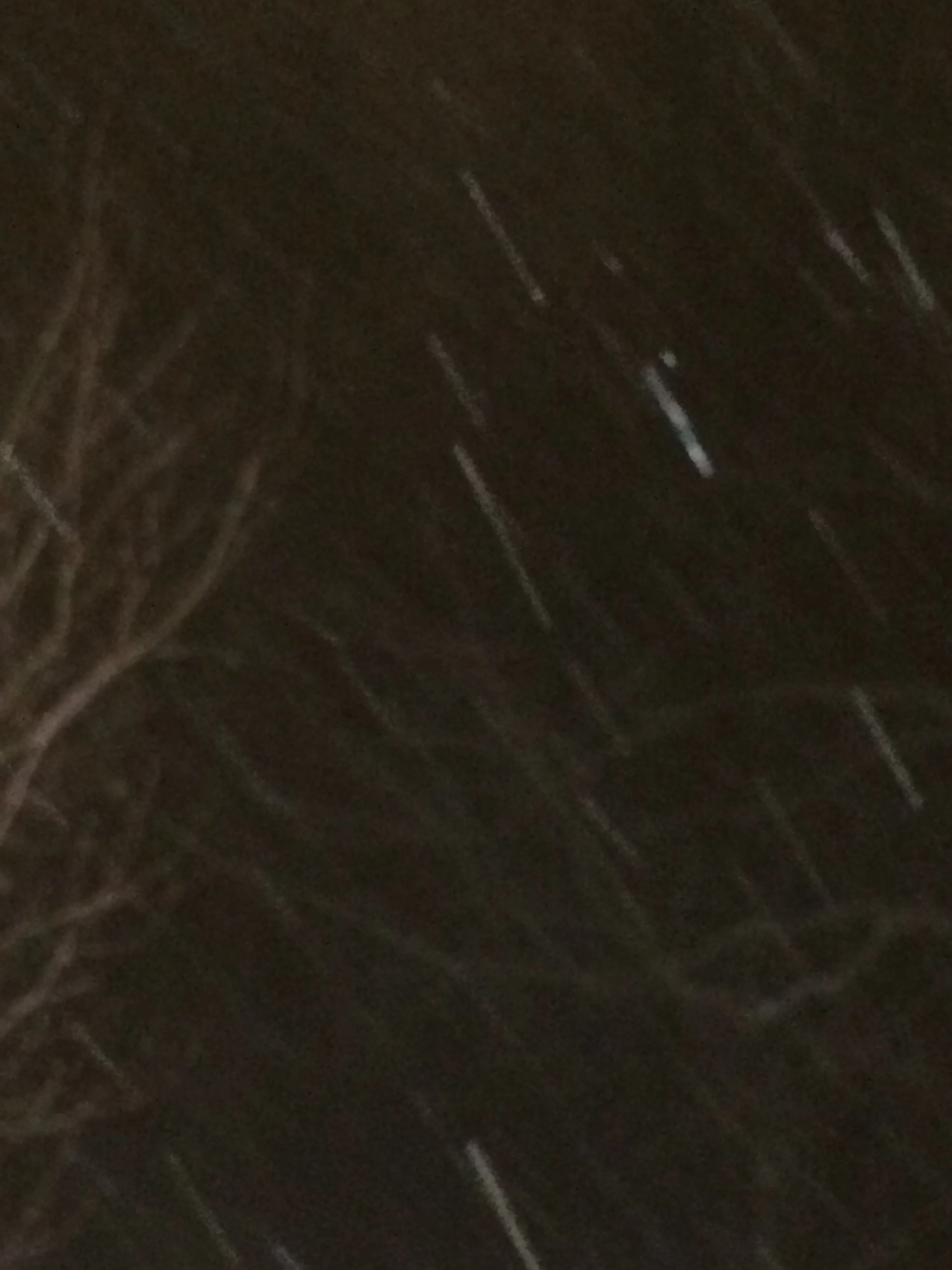 Yet another snowfall...