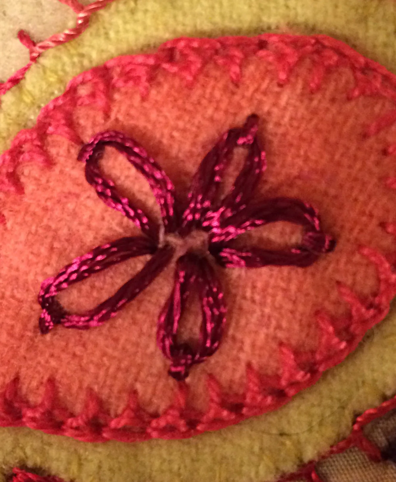 Mountmellick Stitch (outline) and Lazy Daisy.