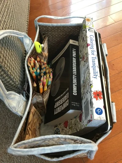 Put to good use. And yes, there's a reason why the school book and "Coloring for Tranquility" are side by side.