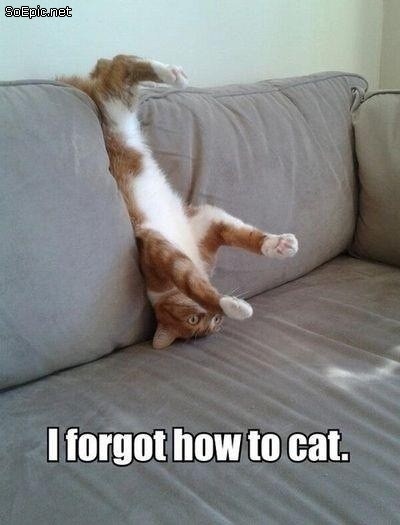 (Apropos of nothing, but it made me giggle.)
