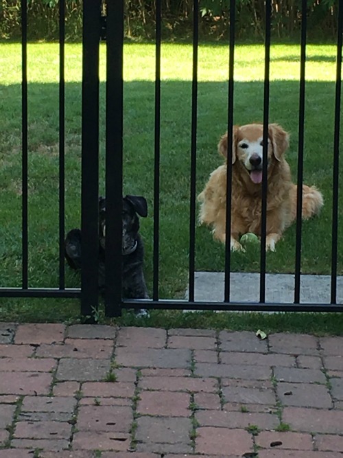 Why are you keeping us out here, Mom?