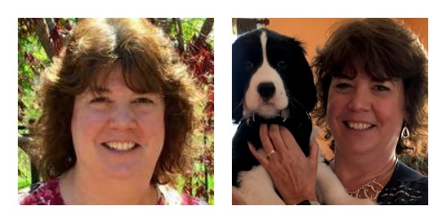 (August to now. Adorbs puppy courtesy of my sister. I'd have taken him home with me if I didn't already have a critical mass of dogdom underfoot.)