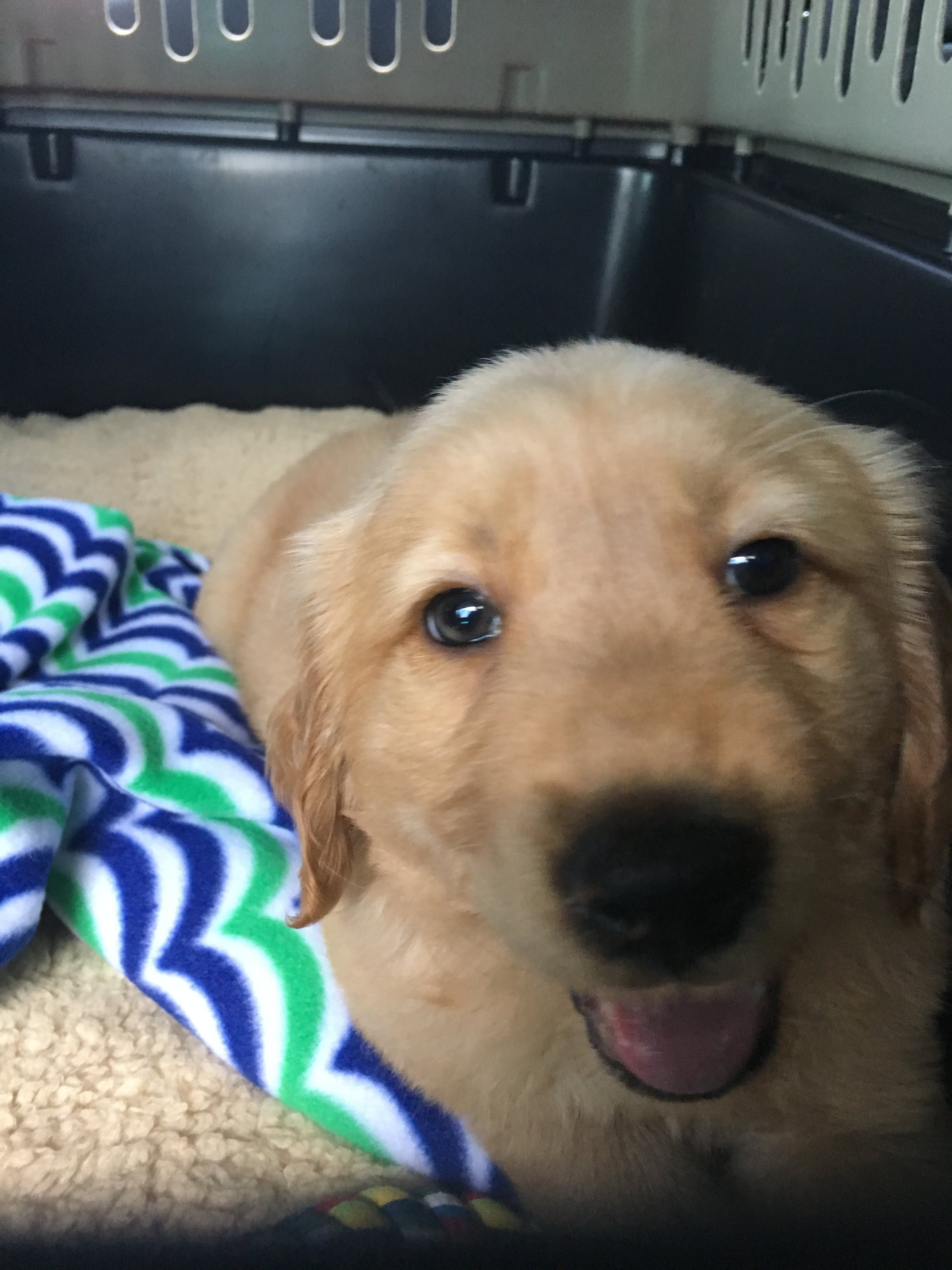  Coming home with us on June 17, 2016 
