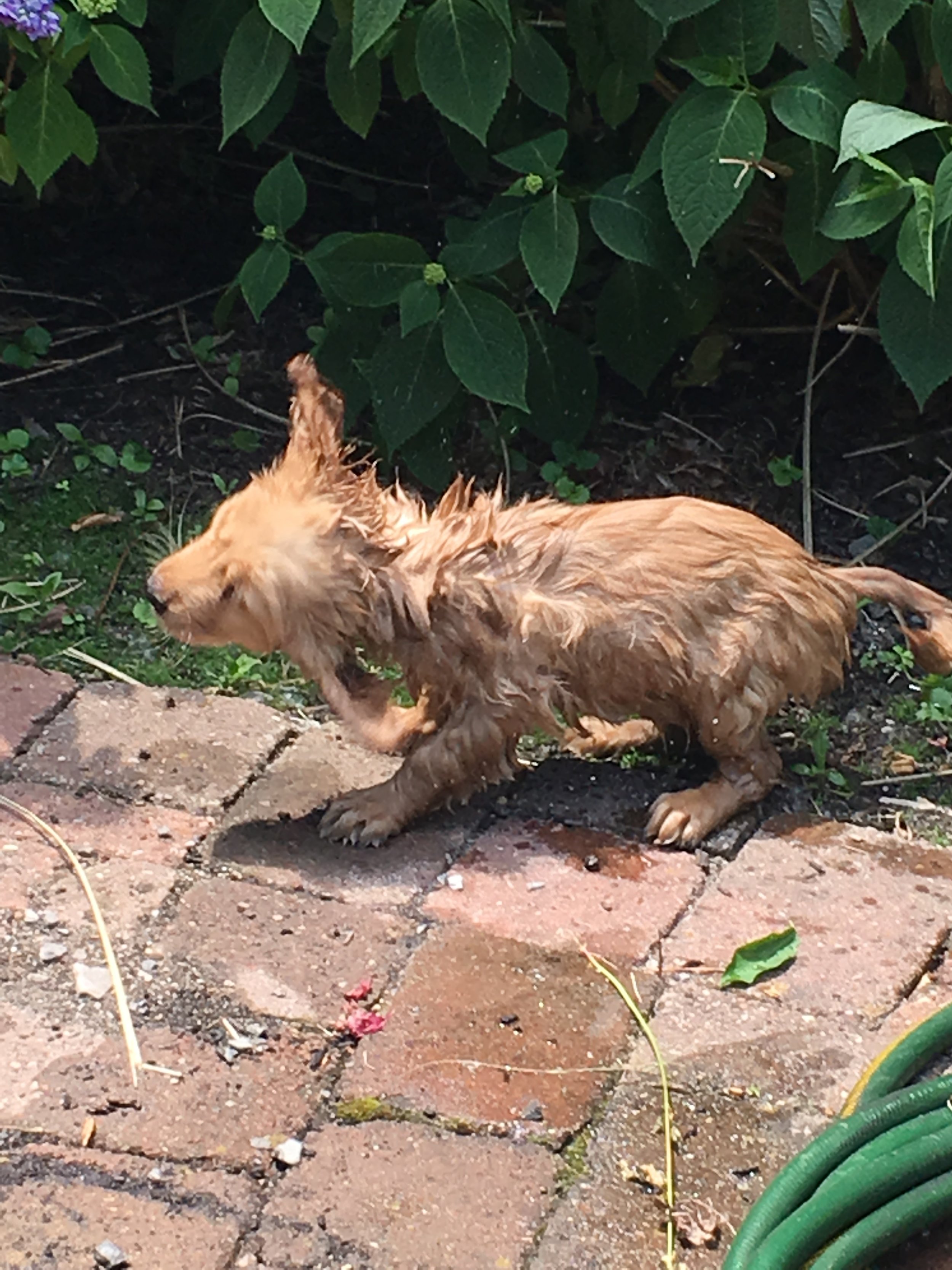  His first bath 