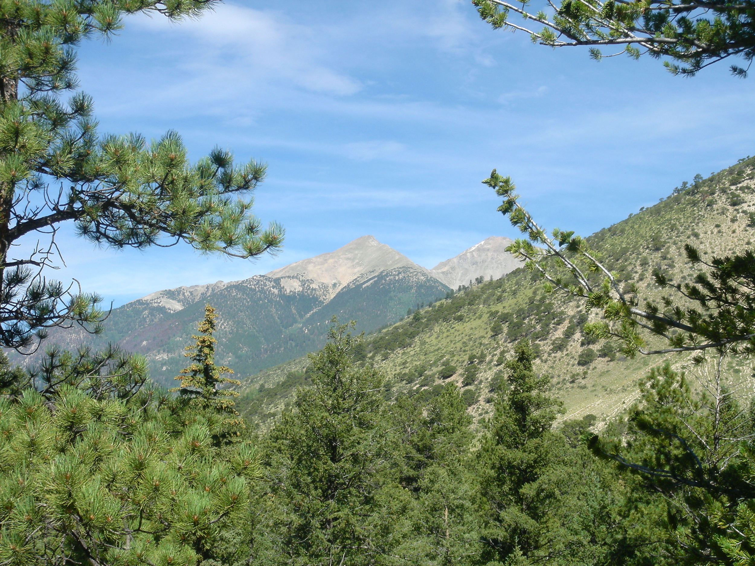 Walkers on the Colorado Trail enjoy views of several 14,000-foot peaks of the Collegiate Range of the Colorado Rockies.