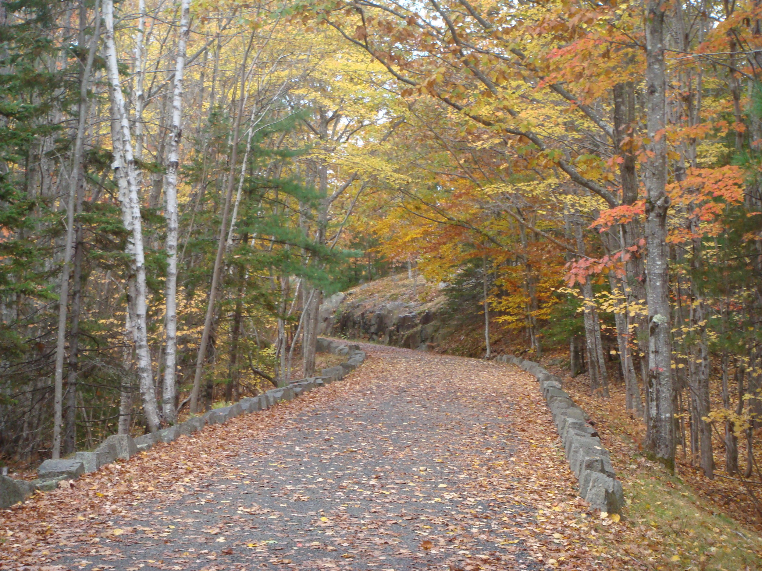 The carriage roads are wide and gently graded as they were originally developed to accommodate horse-drawn carriages.