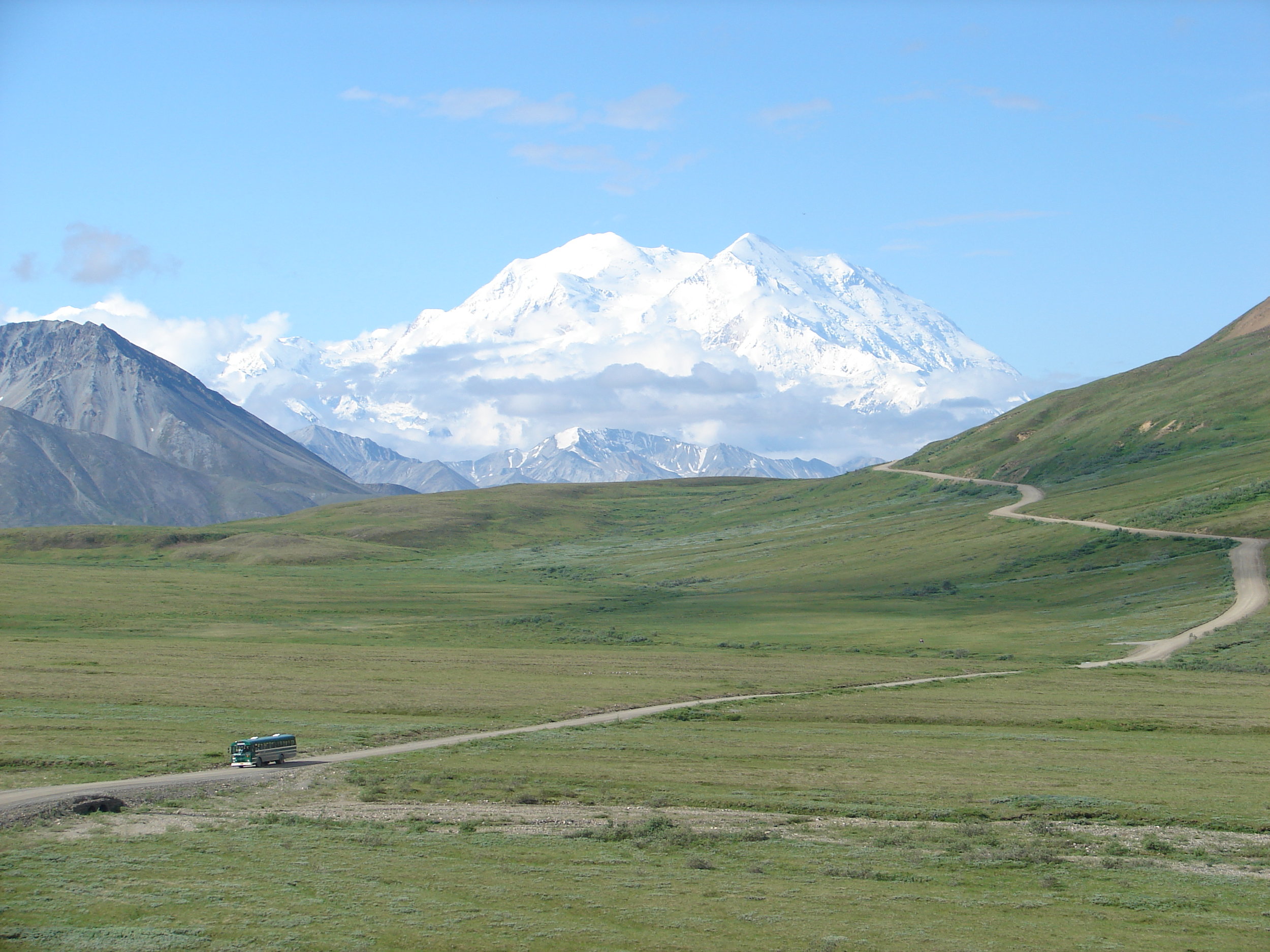 The Denali Park Road runs 92 miles into the park, and buses will drop off and pick up hikers nearly anywhere along its path.