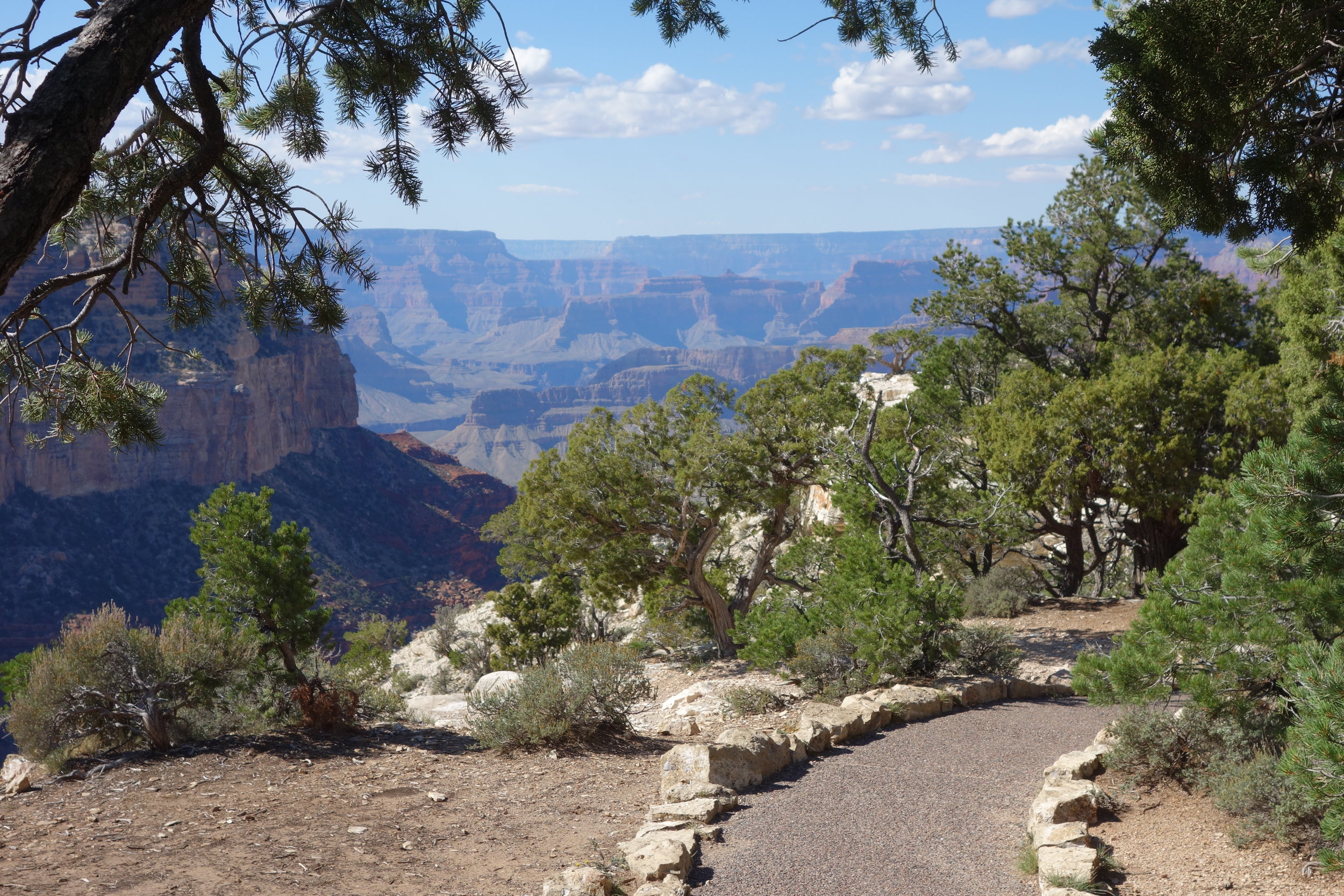 The Grand Canyon Rim Trail can be accessed at many points, and the park shuttle bus system provides a convenient way to return to your starting point.