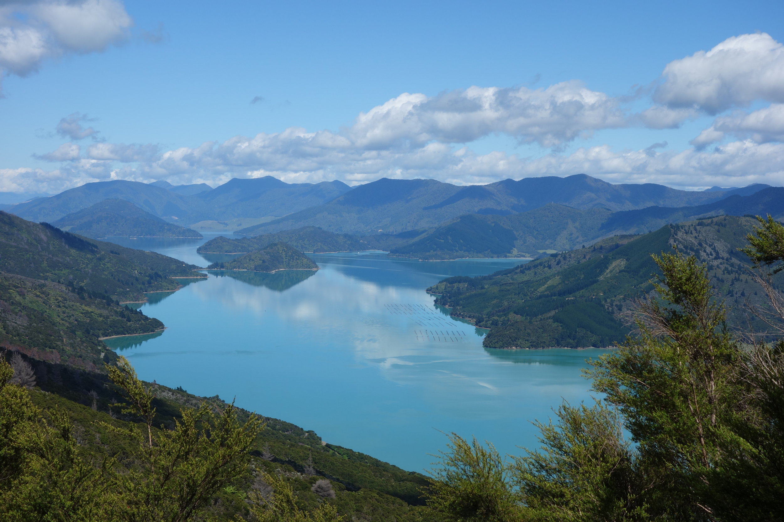 The Queen Charlotte Track rises and falls along its route, but climbs to ridgelines and descents to isolated beaches are moderate.