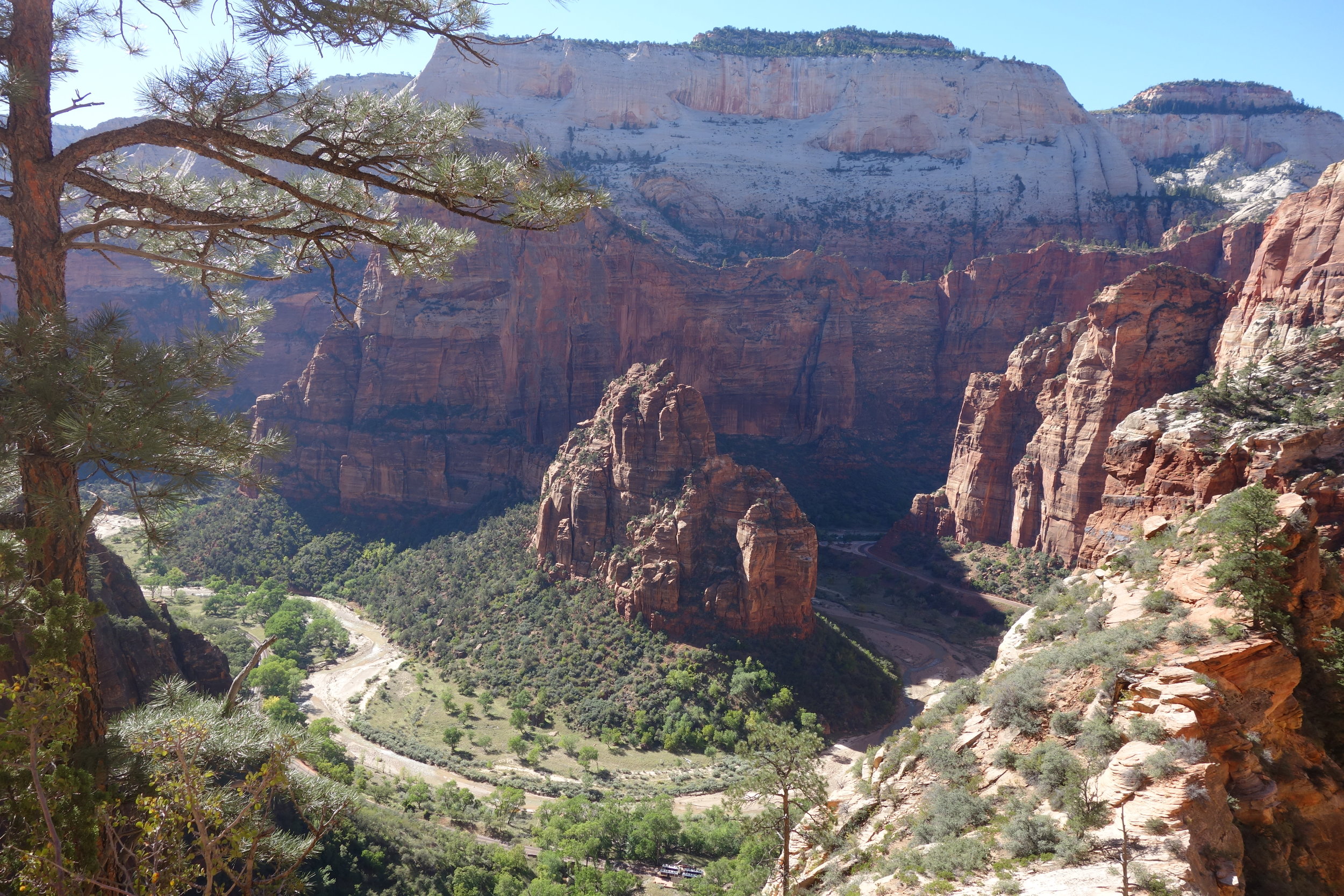 The descent along the Observation Point Trail opens to sweeping views of stunning Zion Canyon.
