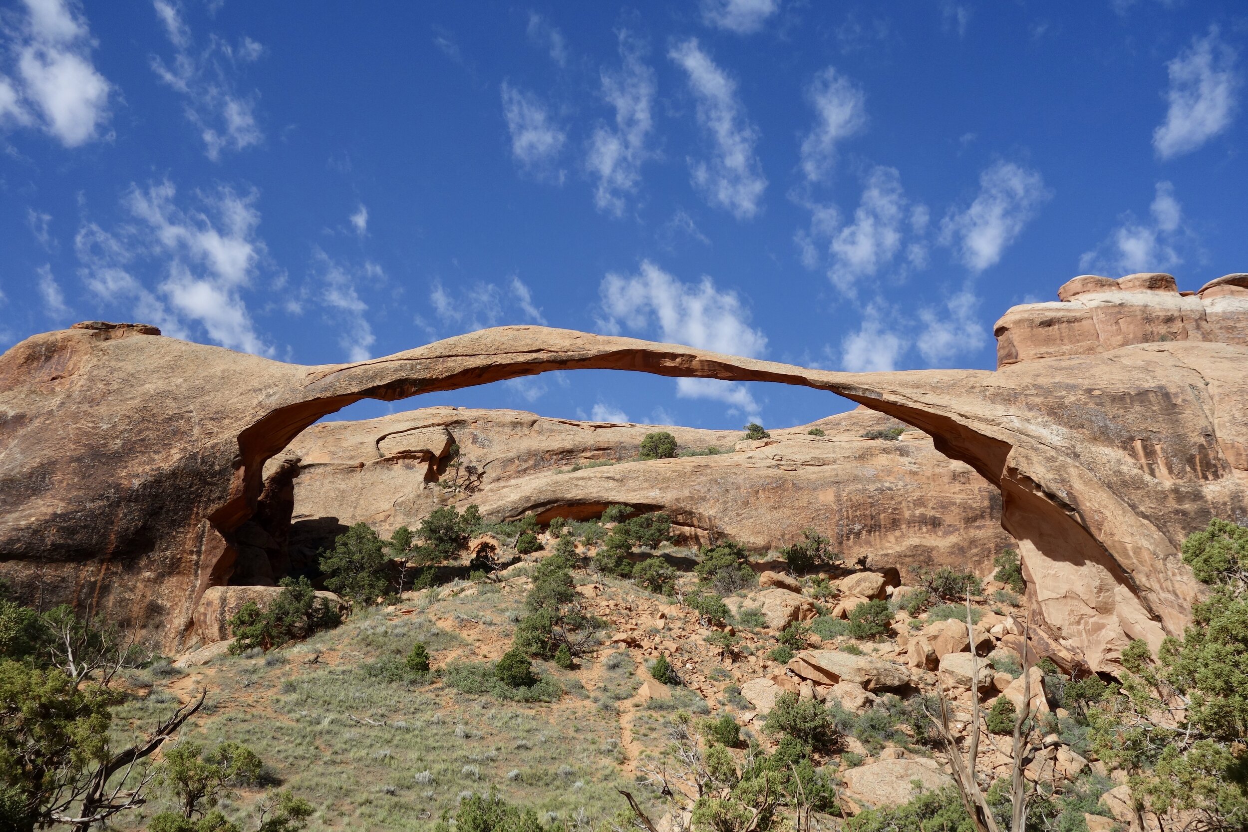 Landscape Arch, the longest arch in the park, is as long as a football field.