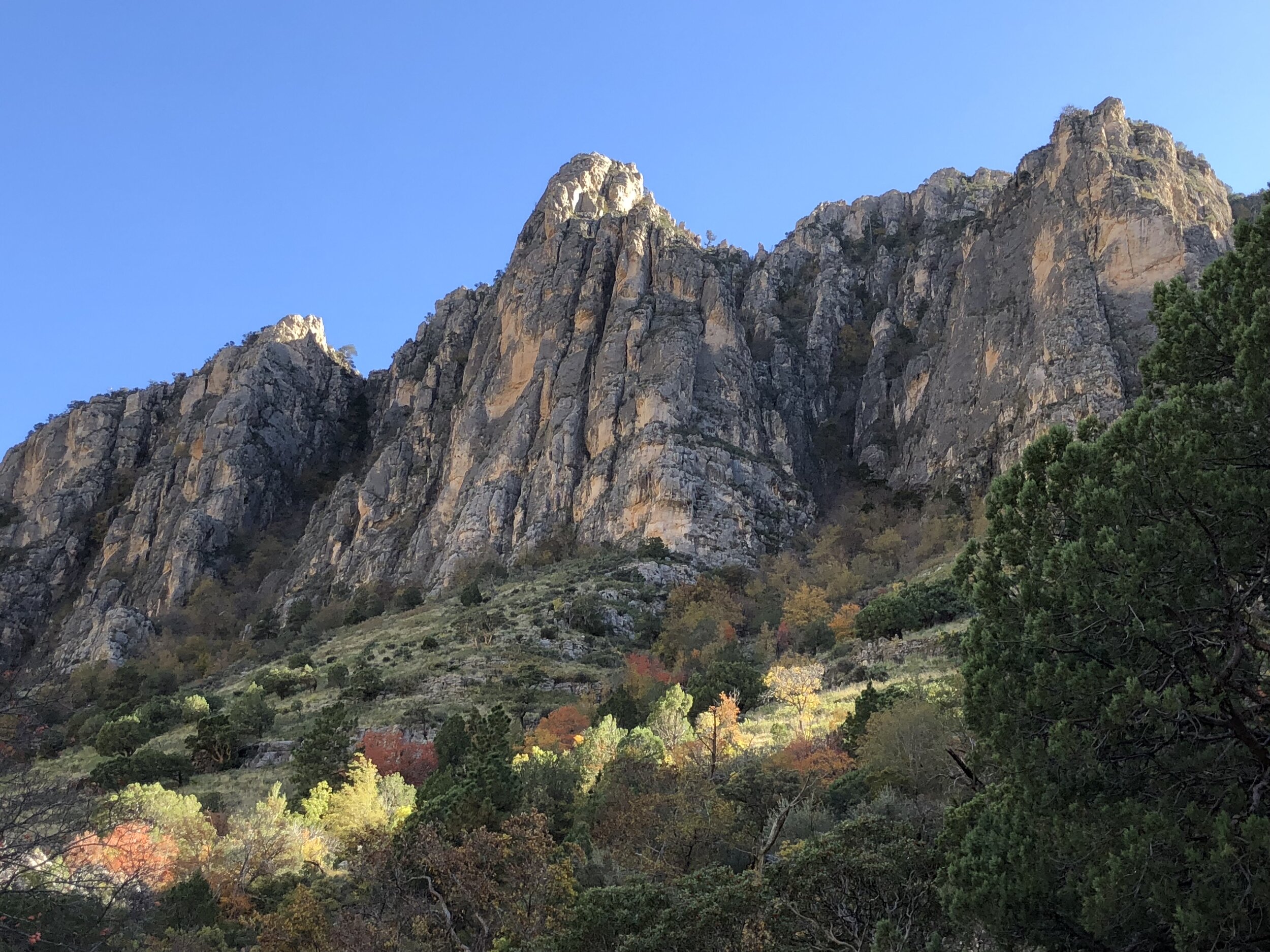 The Guadalupe Mountains are an improbable fossil reef left behind by an ancient sea.