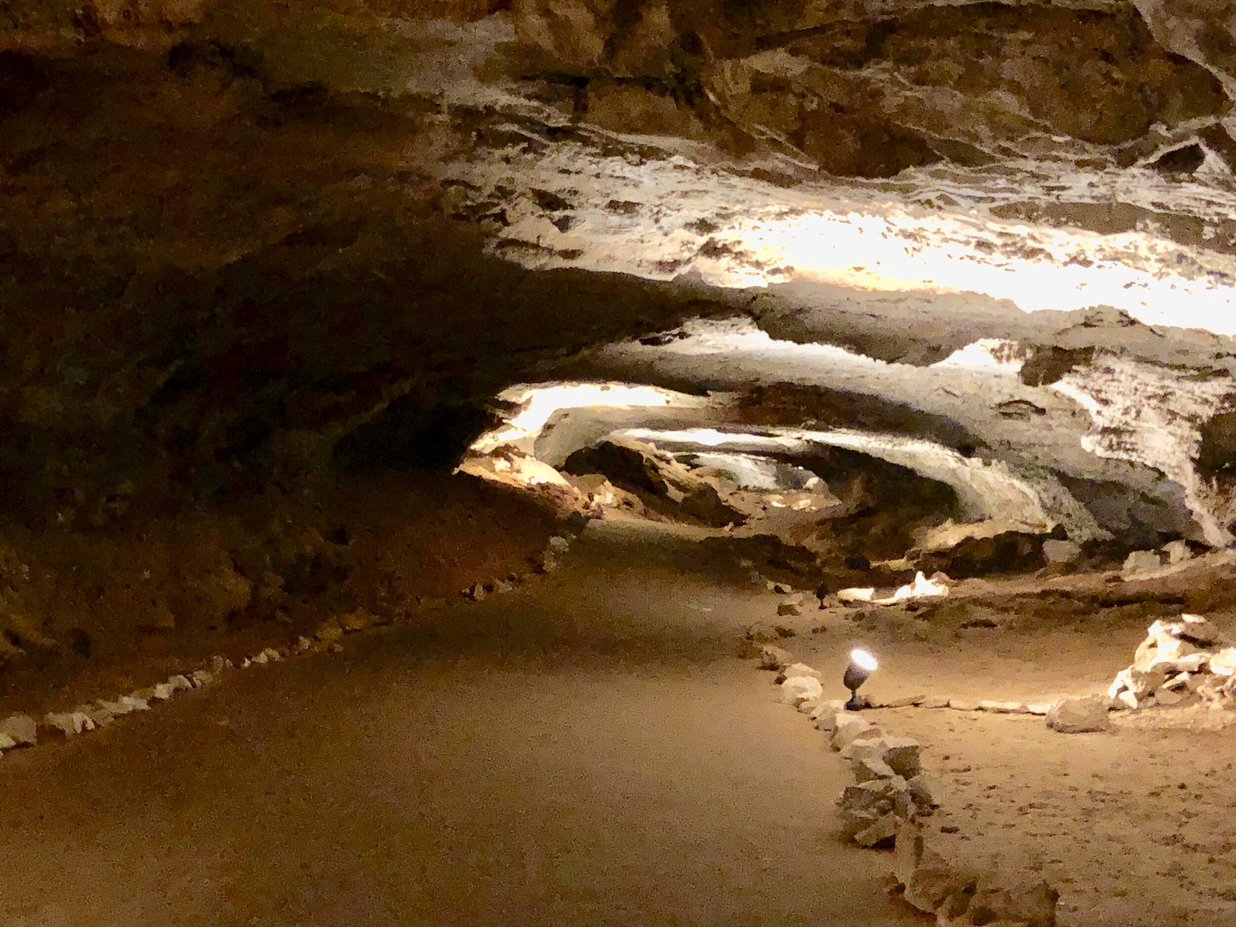 Mammoth Cave celebrates the longest known cave system in the world.