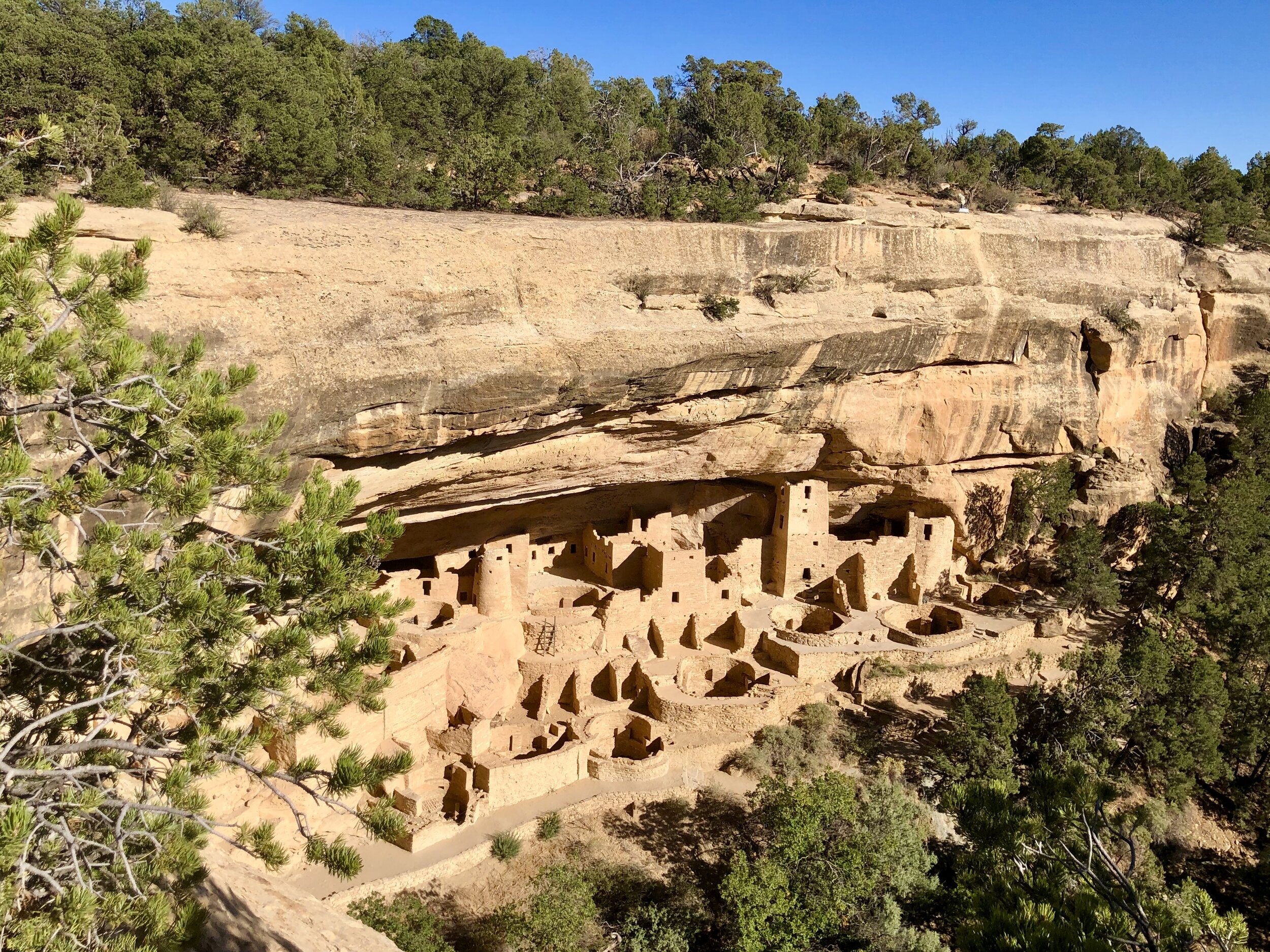 With more than one hundred rooms, Cliff Palace is the largest cliff dwelling in the park.