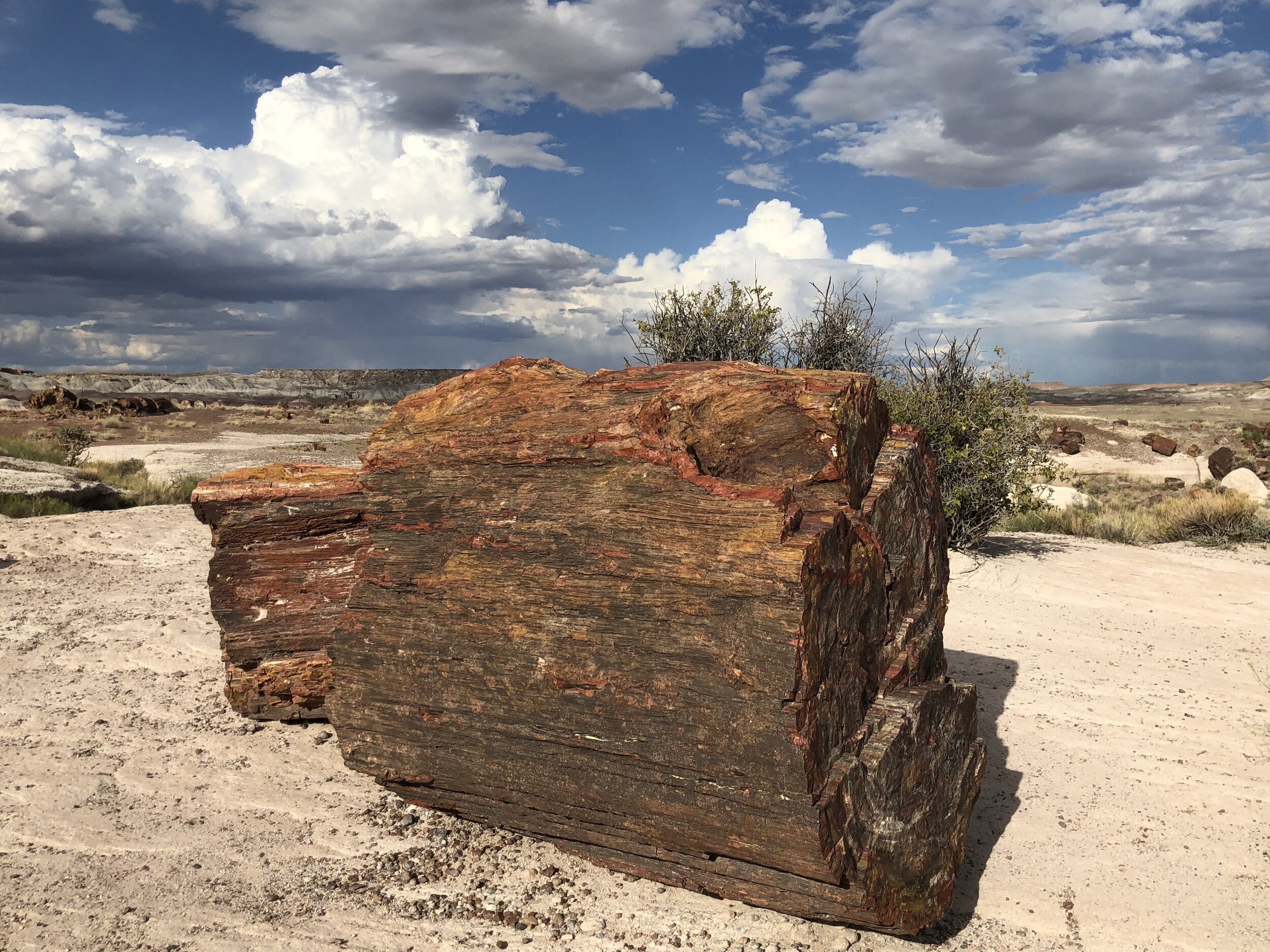 The park features many square miles of petrified wood, but it holds other attractions as well.