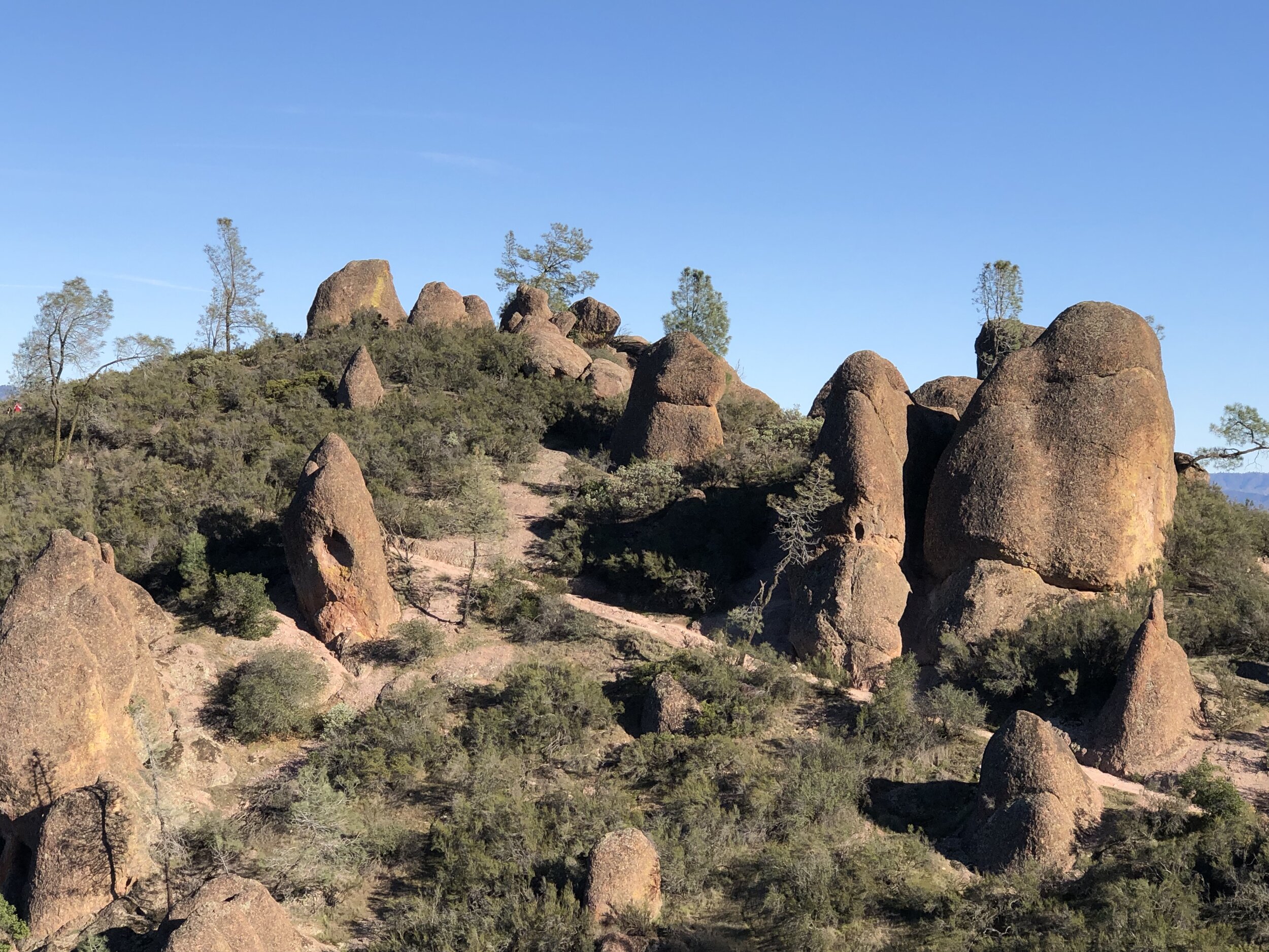 A dense network of trails winds through the park’s iconic rock spires.
