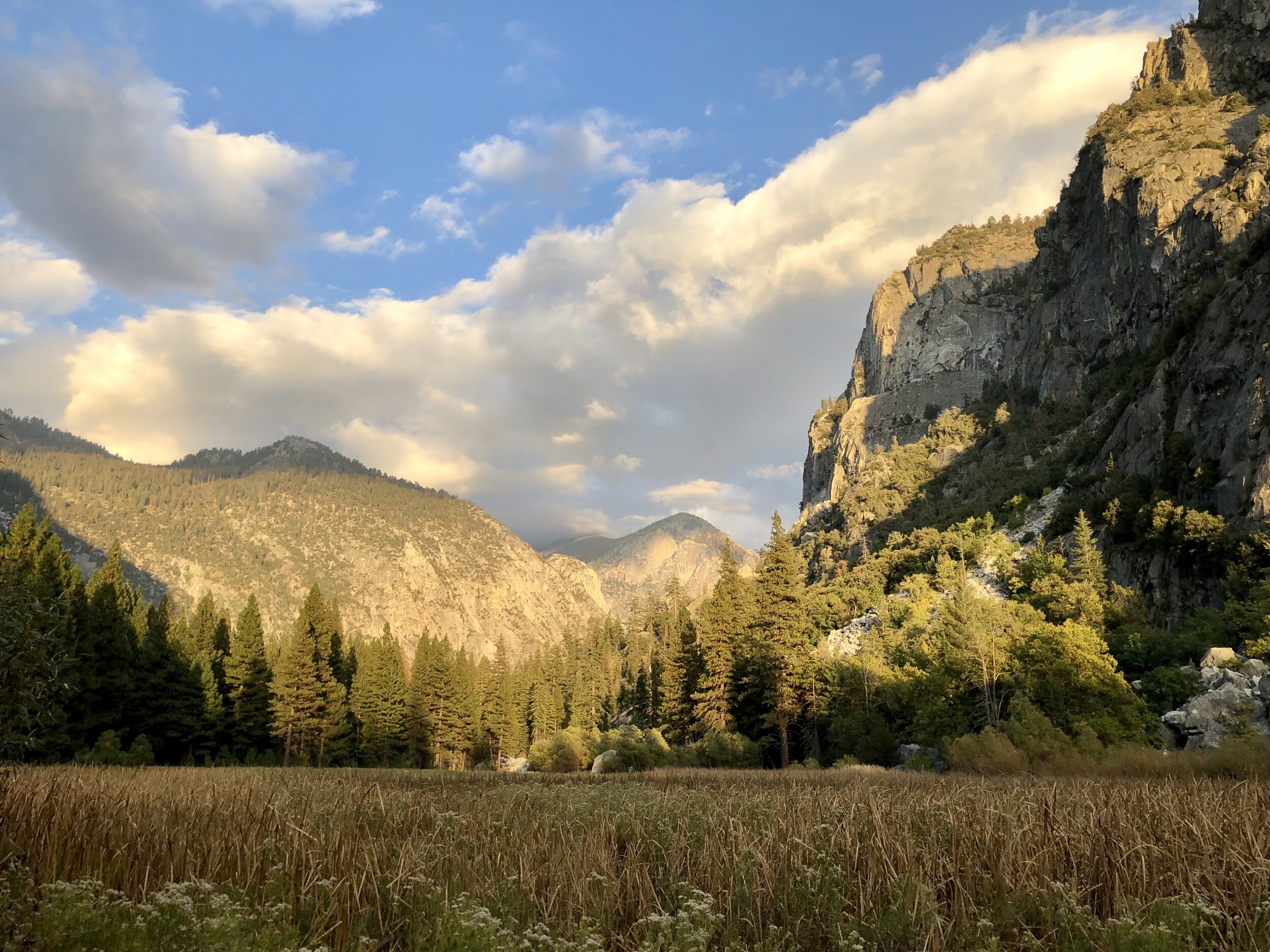 Zumwalt Meadow is surrounded by steep granite cliffs and the Kings River.