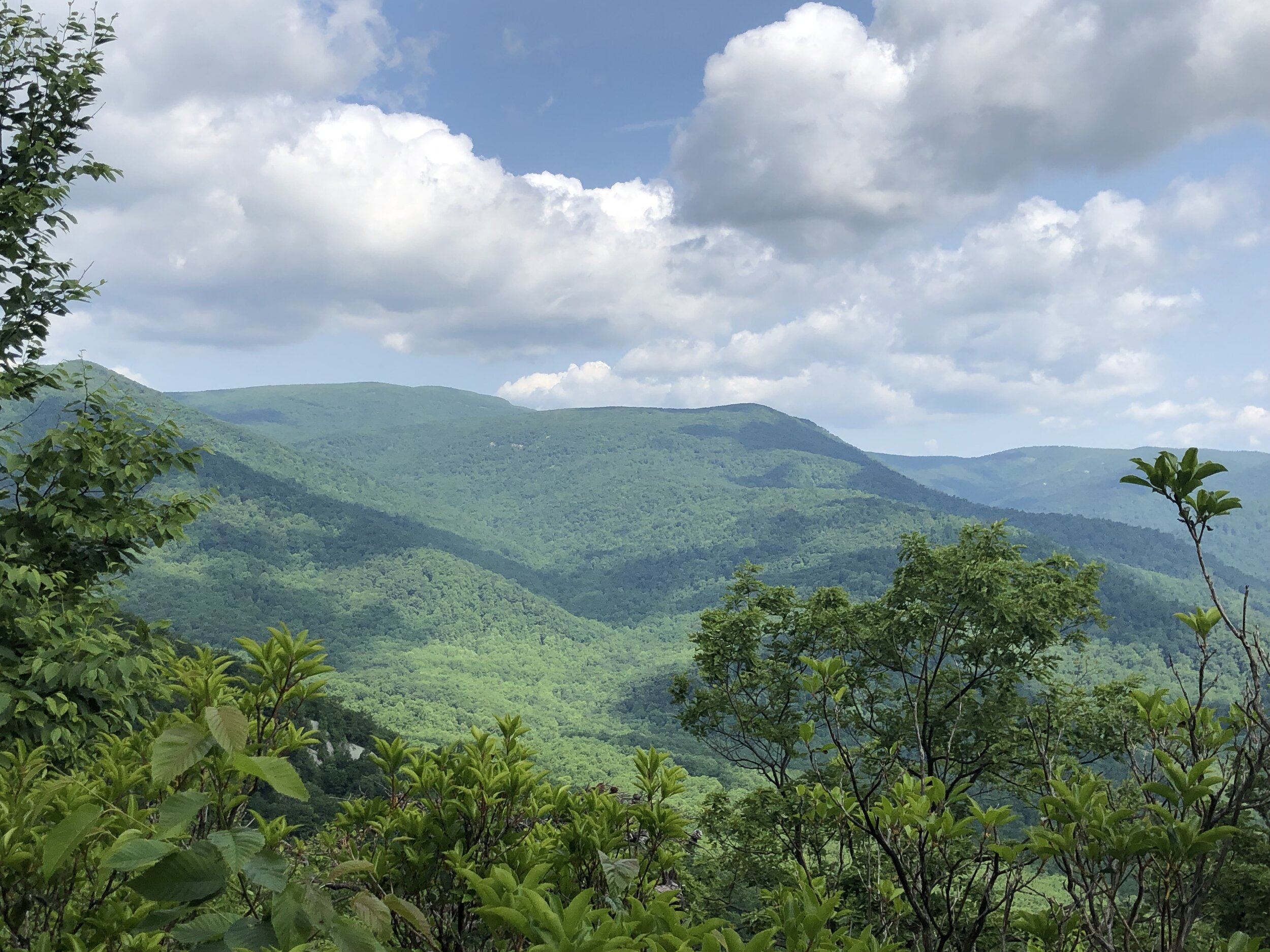 Hawksbill Mountain, the tallest in the park, offers classic Shenandoah views.
