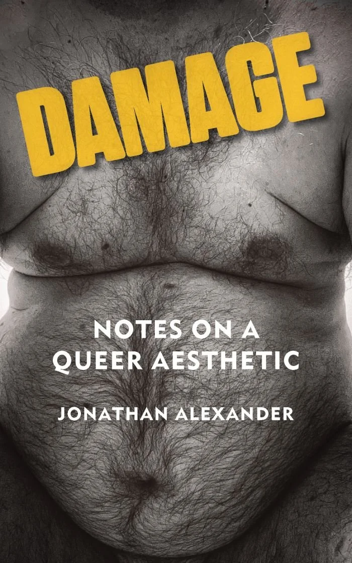 Cover of the book DAMAGE